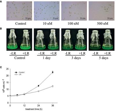 Hydrogen Sulfide Signaling Protects Chlamydomonas reinhardtii Against Allelopathic Damage From Cyanobacterial Toxin Microcystin-LR